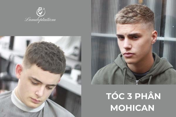 toc-3-phan-mohican 