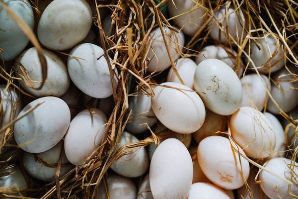 1 quả trứng vịt có chứa 130 calo