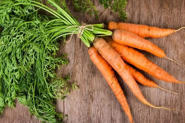 cà rốt sống giúp giảm cân