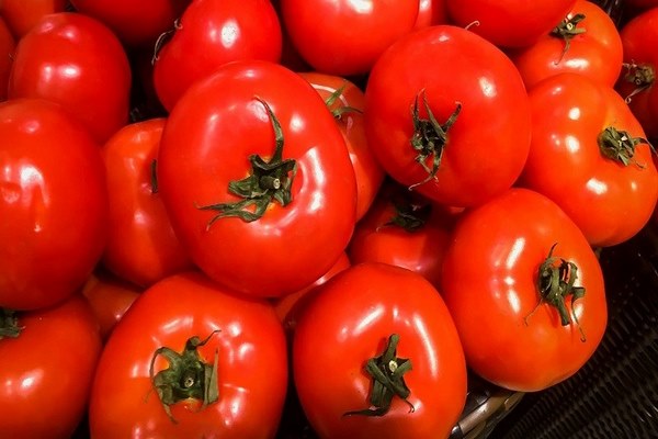 cách chọn mua cà chua ngon