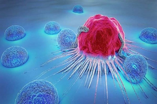hạn chế phát triển của tế bào ung thư
