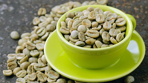 green coffee là thuốc giảm cân được chiết xuất từ hạt cà phê xanh