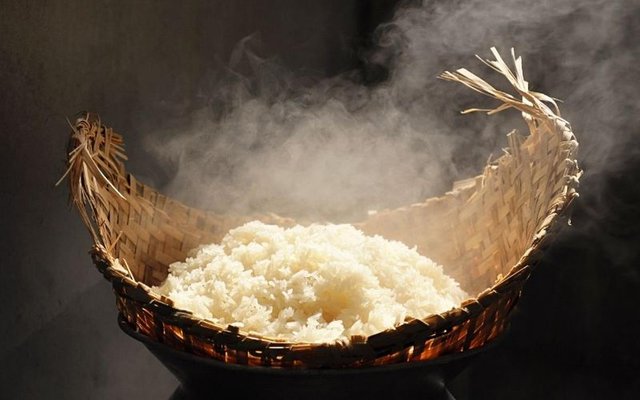 100g gạo nếp chứa khoảng 100 calo
